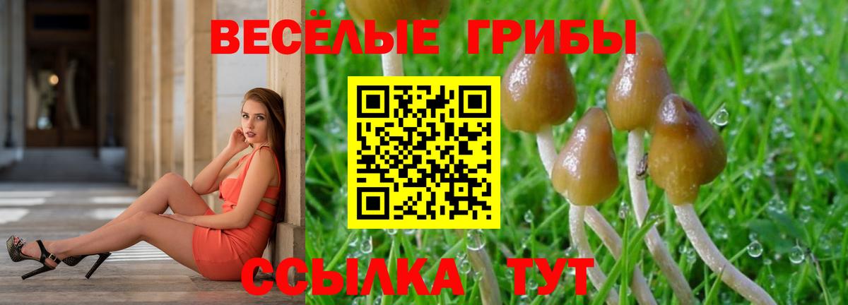 Рубцовск  Псилоцибиновые грибы мухоморы  Вход с VPN  где купить   Галлюциногенные грибы прущие грибы 